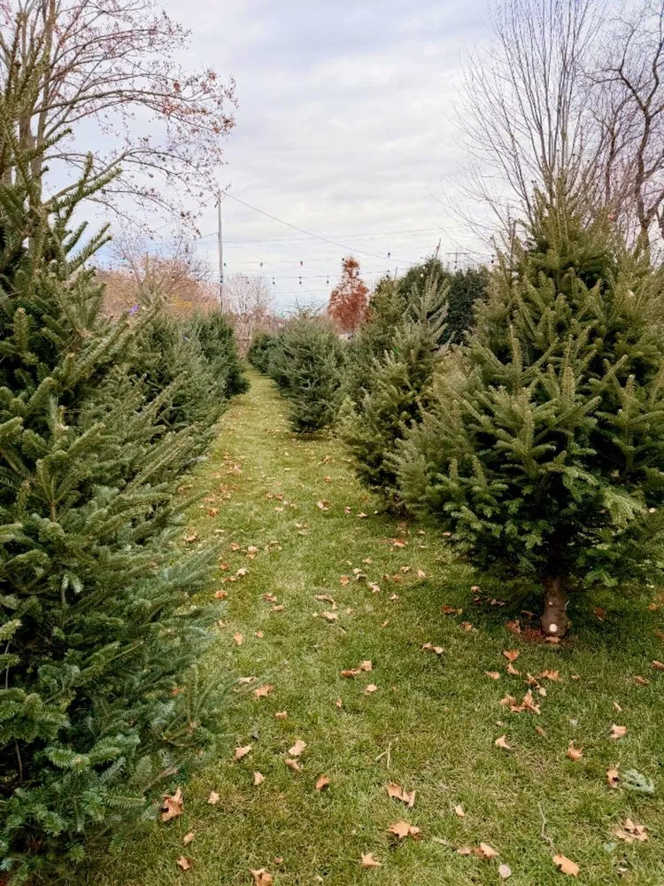 Expert residential landscaping experts serving Germantown, WI - Wendland Landscape Services