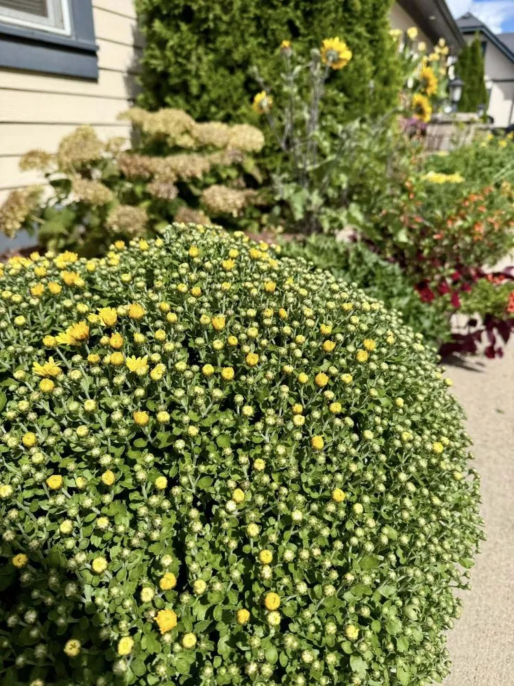 Custom landscape design with custom design in Germantown, WI by Wendland Landscape Services