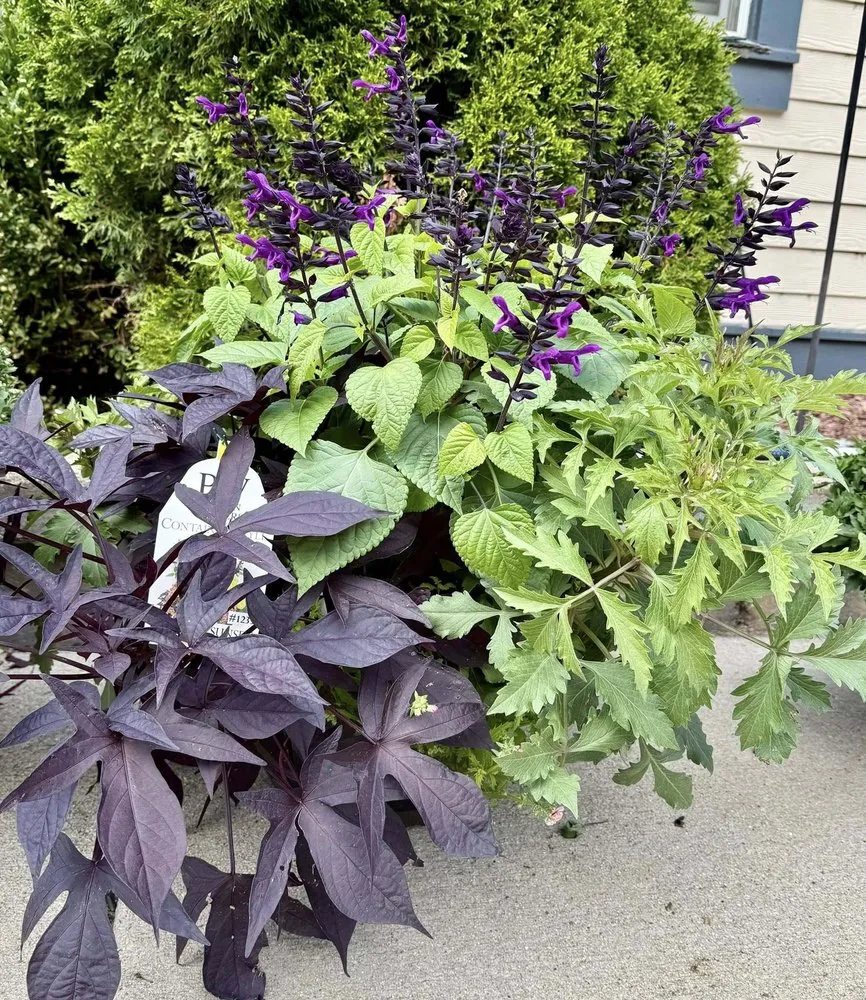 Reliable yard cleanup service in Germantown, WI by Wendland Landscape Services