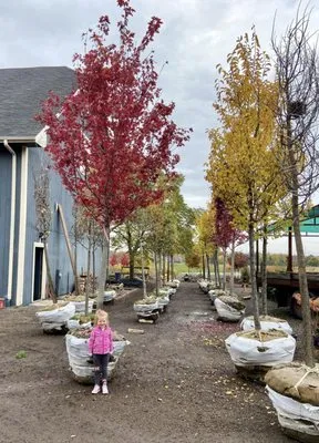 Wendland Landscape Services