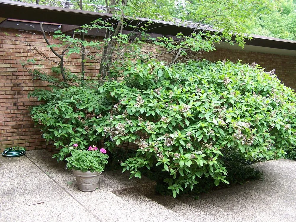 Local landscape design near you in Lake Bluff, IL by Wendt Landscaping