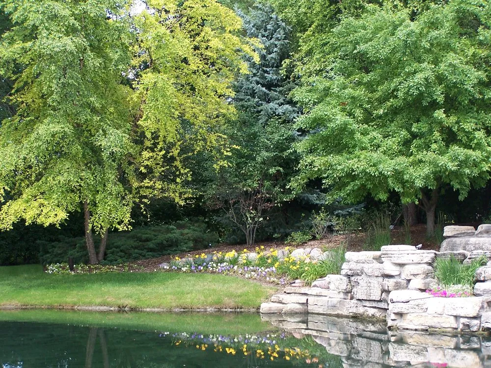 Local lawn care service experts serving Lake Bluff, IL - Wendt Landscaping