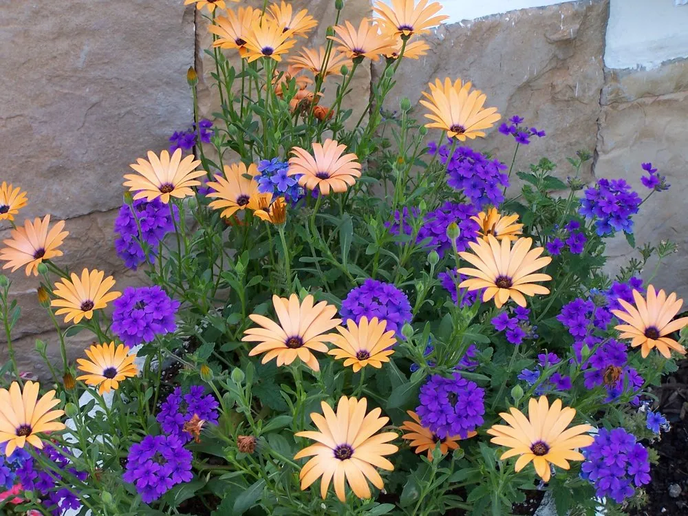 Reliable lawn care service in Lake Bluff, IL by Wendt Landscaping