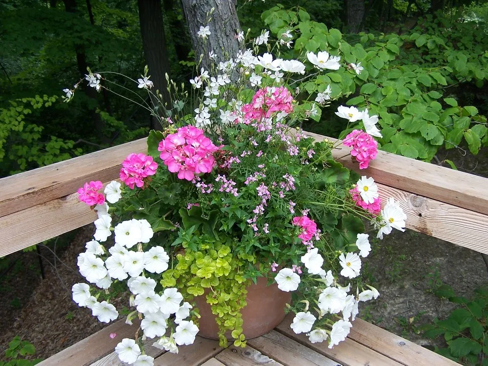 Custom lawn care service in Lake Bluff, IL - Wendt Landscaping