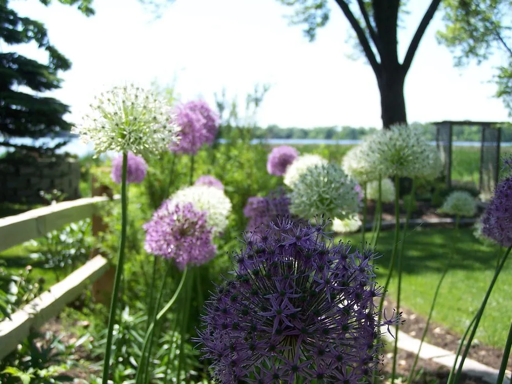 Expert yard maintenance in Lake Bluff, IL by Wendt Landscaping