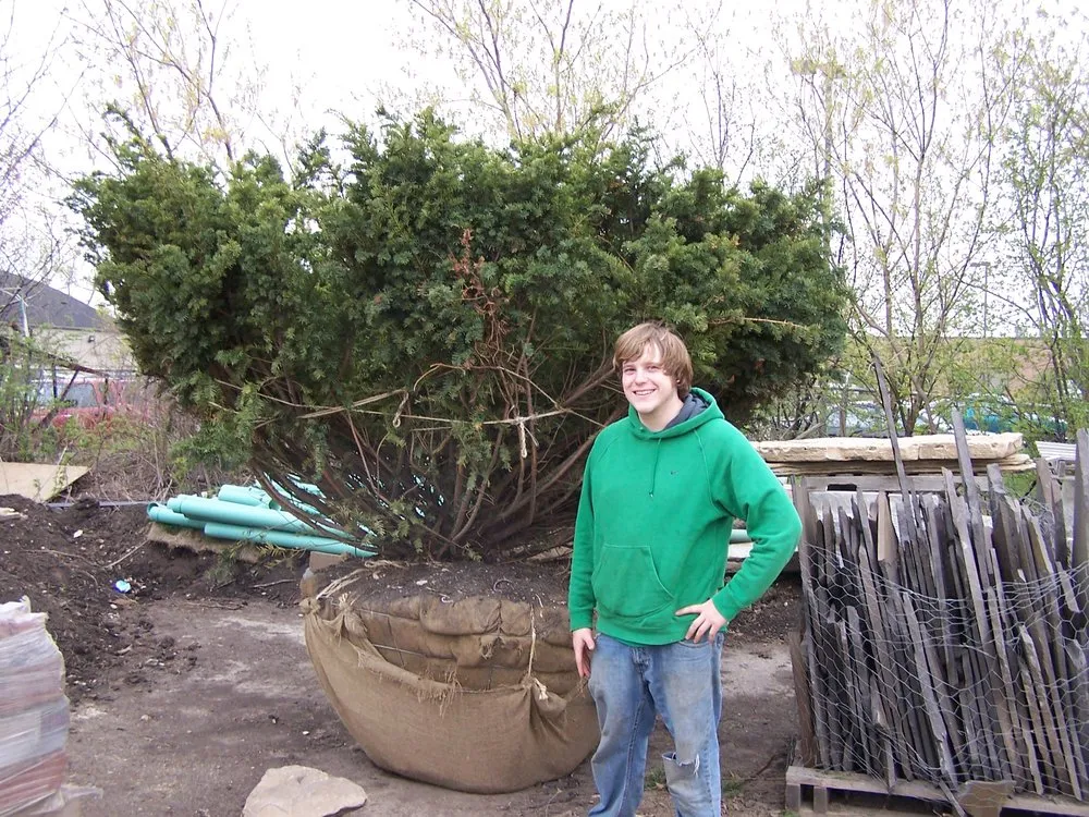 Professional landscape installation in Lake Bluff, IL - Wendt Landscaping