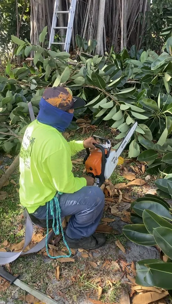 Expert lawn care service for outdoor upgrades in West Palm Beach, FL by Wendy Landscaping