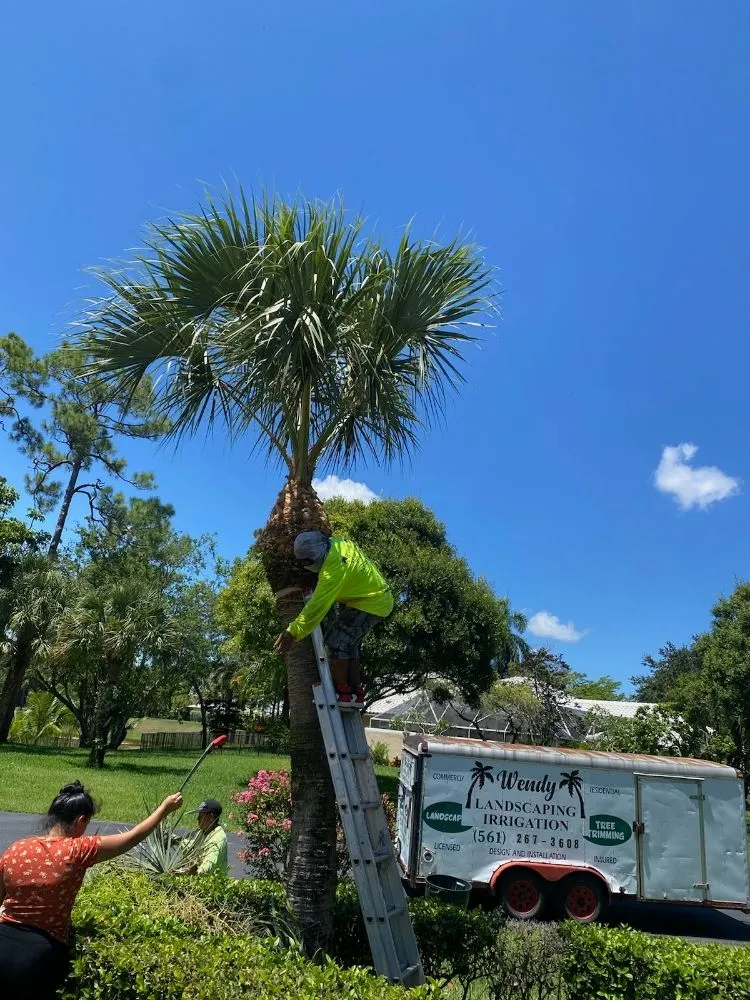 Local garden landscaping in West Palm Beach, FL - Wendy Landscaping