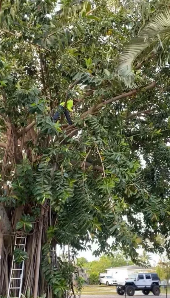 Reliable outdoor landscaping for outdoor upgrades across West Palm Beach, FL - Wendy Landscaping