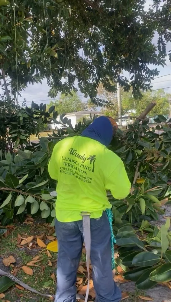 Professional landscaping services in West Palm Beach, FL by Wendy Landscaping