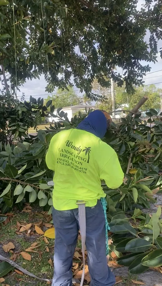 Trusted lawn mowing service for beautiful yards in West Palm Beach, FL by Wendy Landscaping