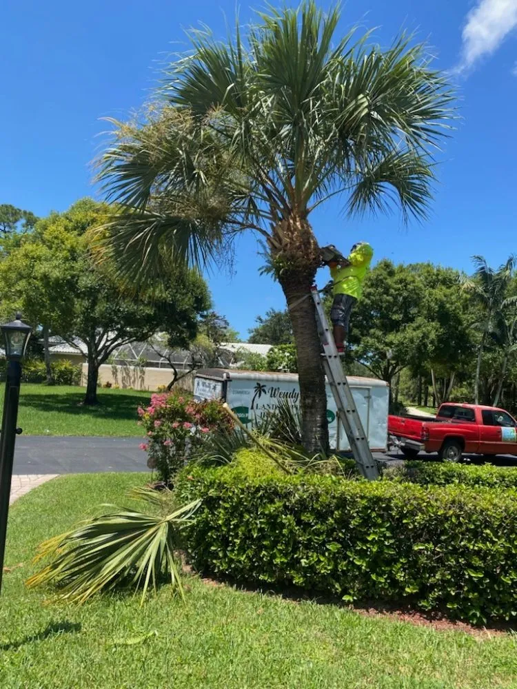 Expert yard maintenance in West Palm Beach, FL by Wendy Landscaping