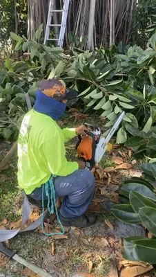 Wendy Landscaping Logo