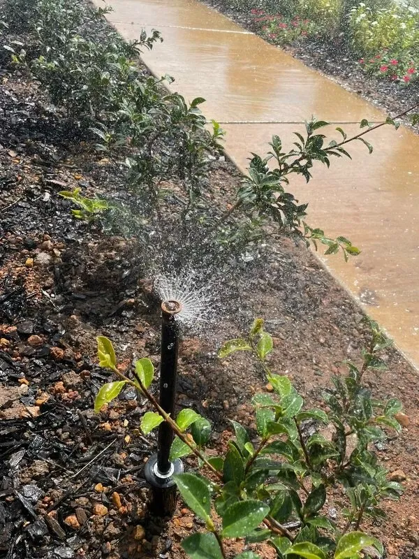 Professional outdoor landscaping in Magee, MS - Wenger Lawn Service