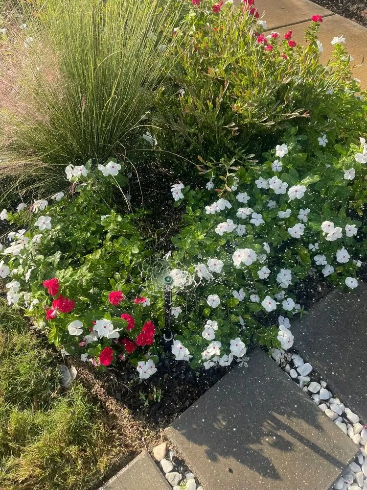 Expert garden landscaping in Magee, MS by Wenger Lawn Service