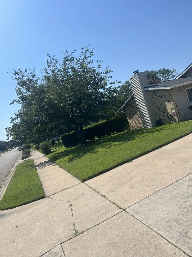 Reliable residential landscaping in Temple, TX - Wenstrom Yard Works