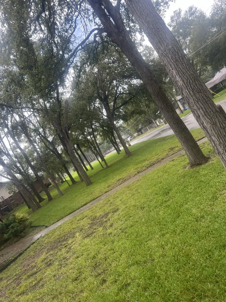 Trusted landscape design experts serving Temple, TX - Wenstrom Yard Works