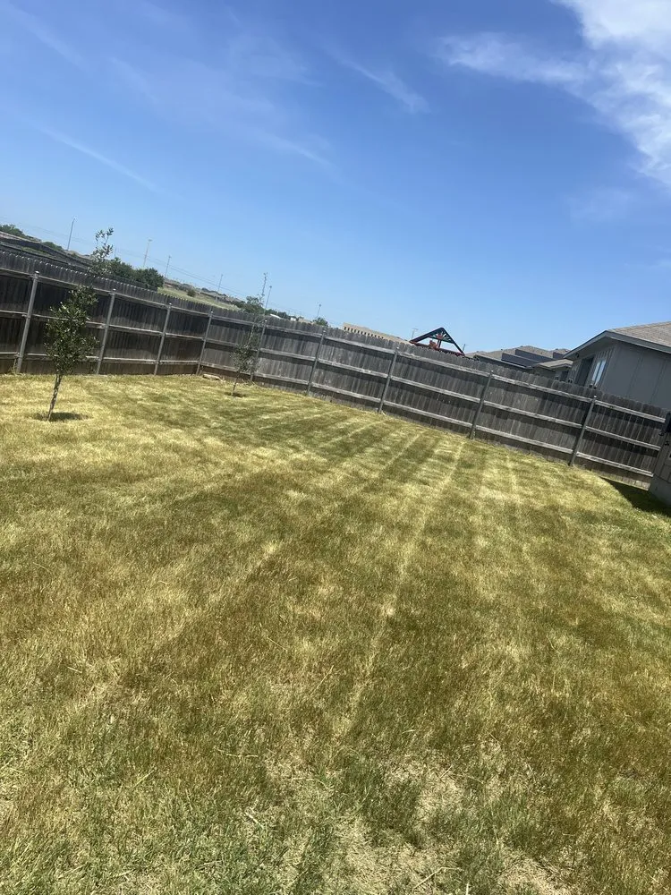 Local yard cleanup service in Temple, TX by Wenstrom Yard Works