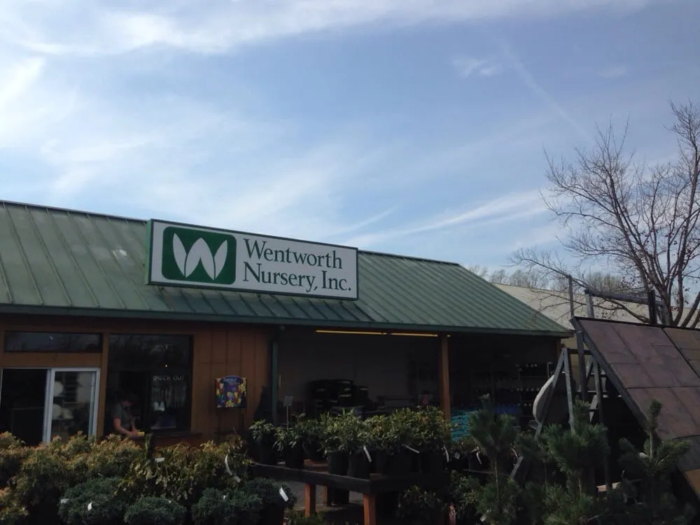 Top-rated lawn care service experts serving Charlotte Hall, MD - Wentworth Nursery