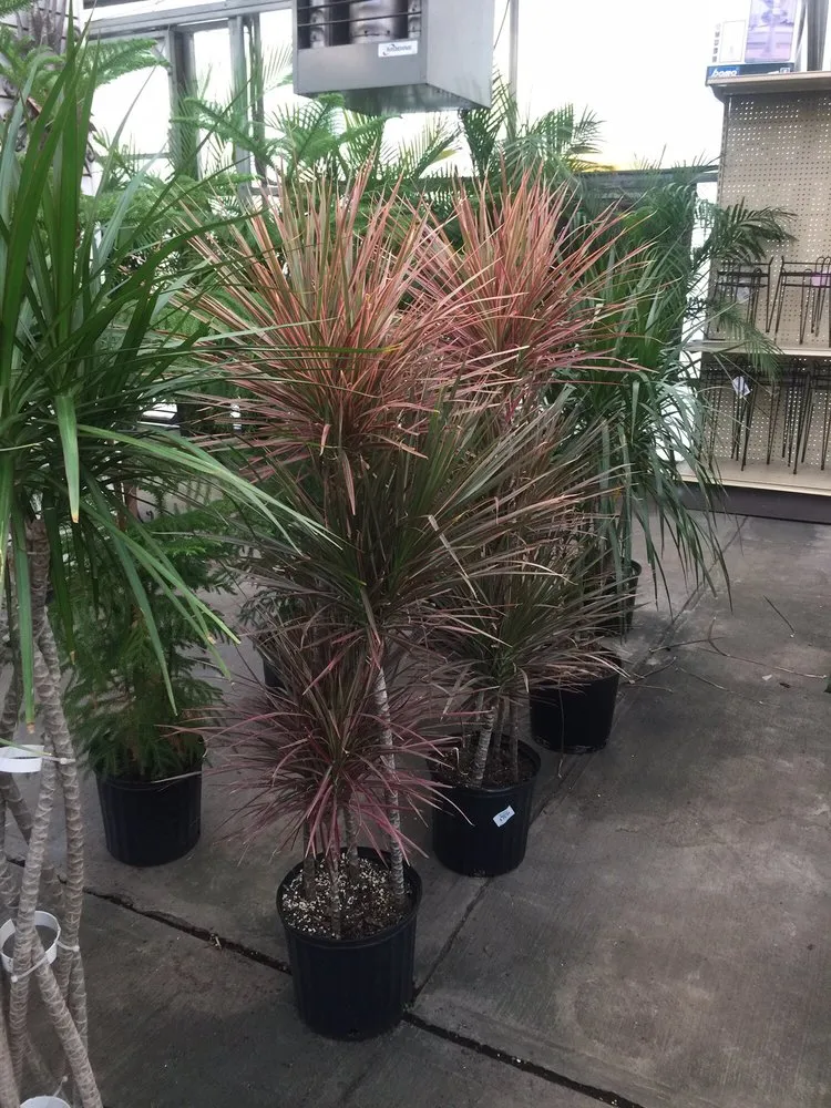 Trusted landscape installation with custom design across Charlotte Hall, MD - Wentworth Nursery