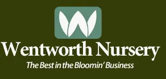 Local landscaping services in Charlotte Hall, MD by Wentworth Nursery