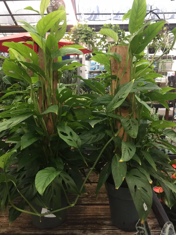 Reliable landscaping services for homes in Charlotte Hall, MD by Wentworth Nursery