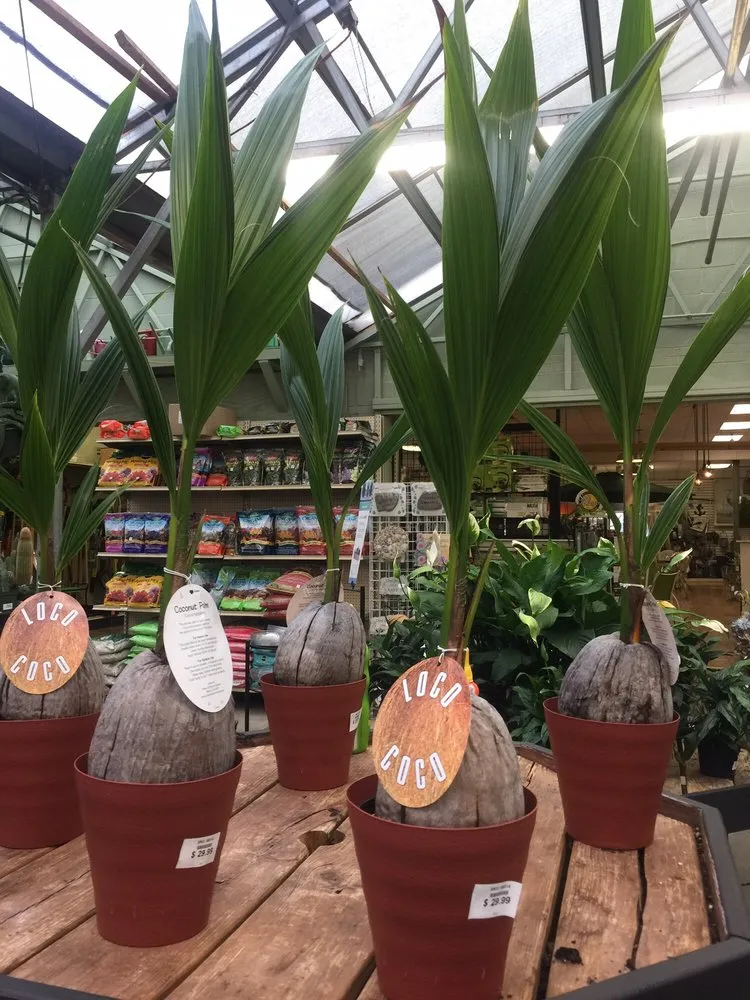 Professional lawn care service for year-round maintenance in Charlotte Hall, MD by Wentworth Nursery