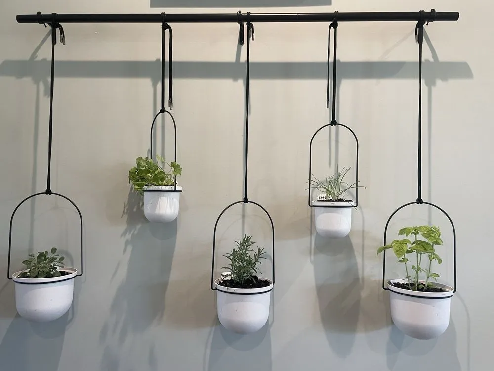 Reliable residential landscaping in Prince Frederick, MD by Wentworth Nursery