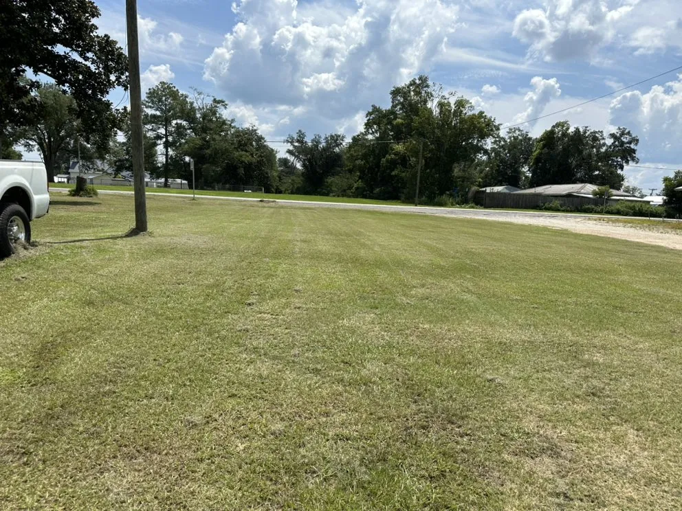 Custom landscape design in Sneads, FL by Wentz Landscaping And Handyman Services