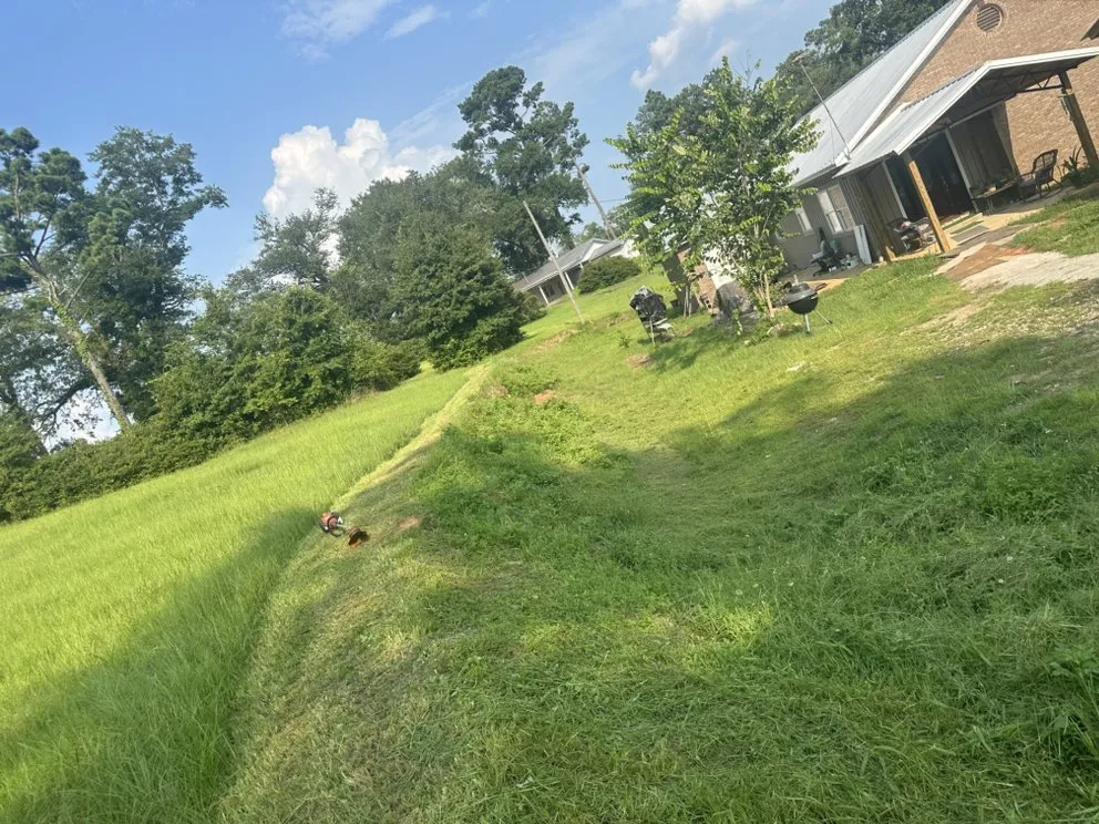 Local lawn care service experts serving Sneads, FL - Wentz Landscaping And Handyman Services