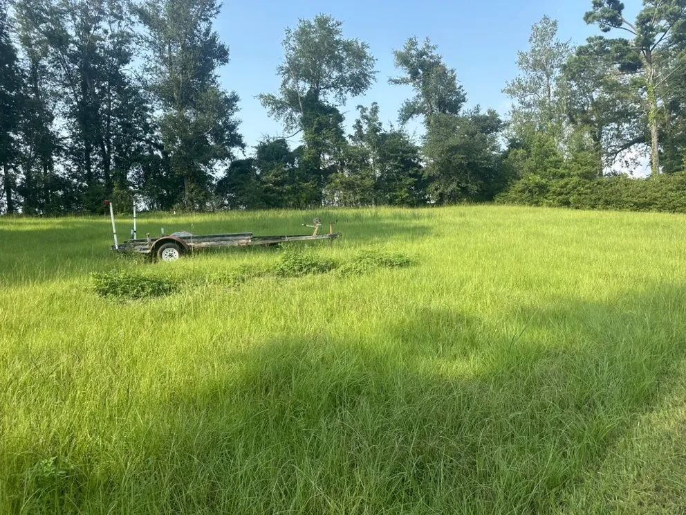 Affordable landscaping services in Sneads, FL - Wentz Landscaping And Handyman Services