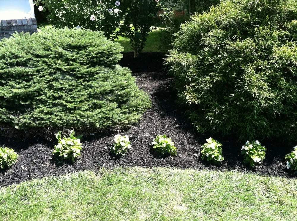 Trusted landscape installation experts serving Richmond Heights, OH - We're Outside