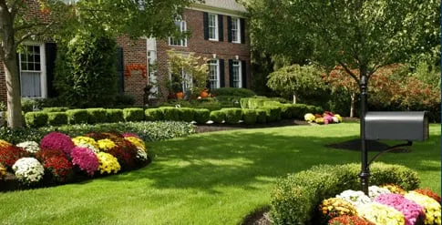 Expert lawn mowing service in Mountlake Terrace, WA - Werner & Sons Landscaping