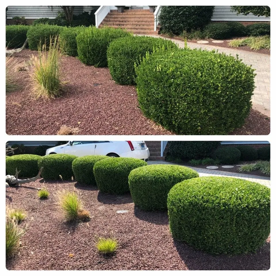 Affordable yard cleanup service near you across Ocean Pines, MD - Werner Lawn And Garden