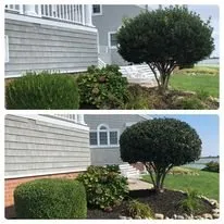 Custom yard cleanup service in Ocean Pines, MD - Werner Lawn And Garden