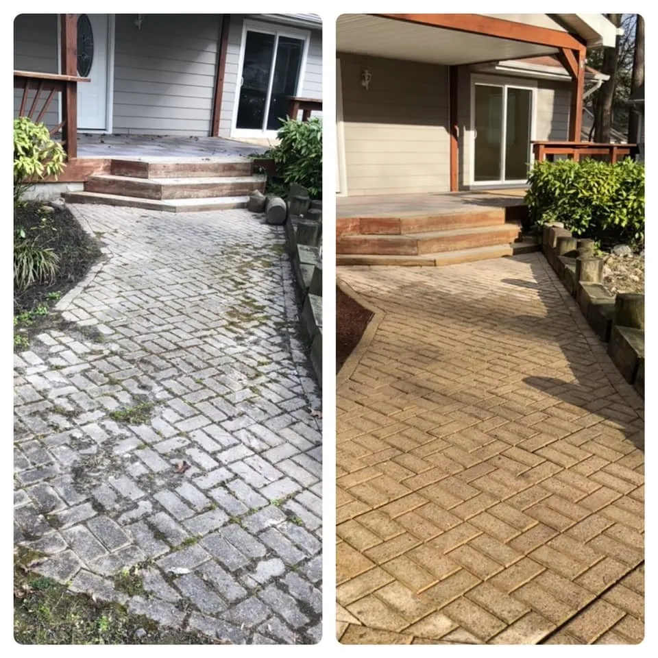 Local outdoor landscaping near you in Ocean Pines, MD by Werner Lawn And Garden