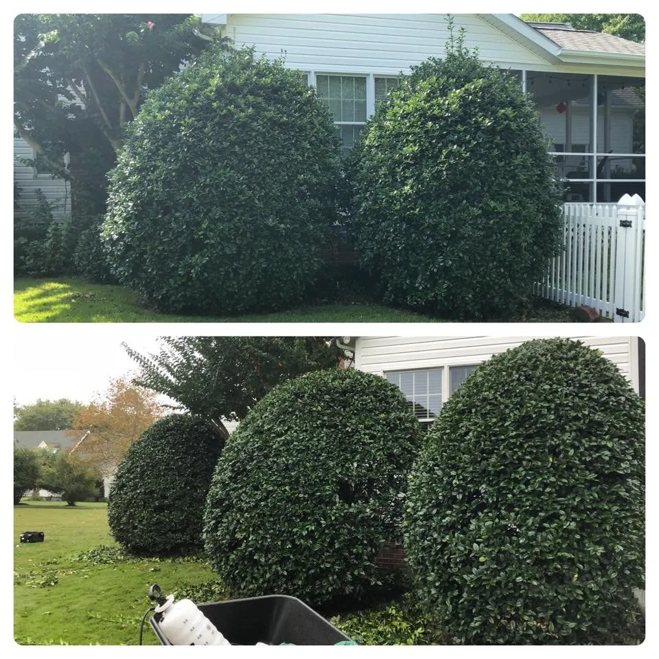 Affordable garden landscaping experts serving Ocean Pines, MD - Werner Lawn And Garden