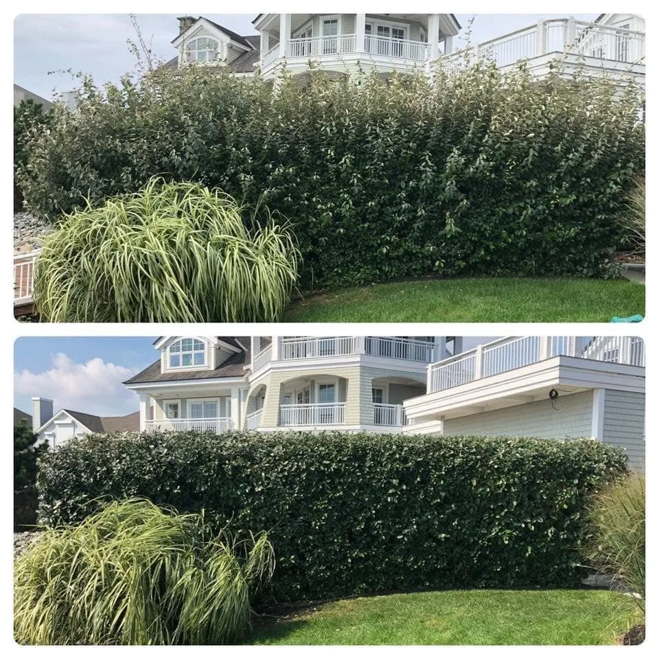 Affordable landscape installation in Ocean Pines, MD - Werner Lawn And Garden