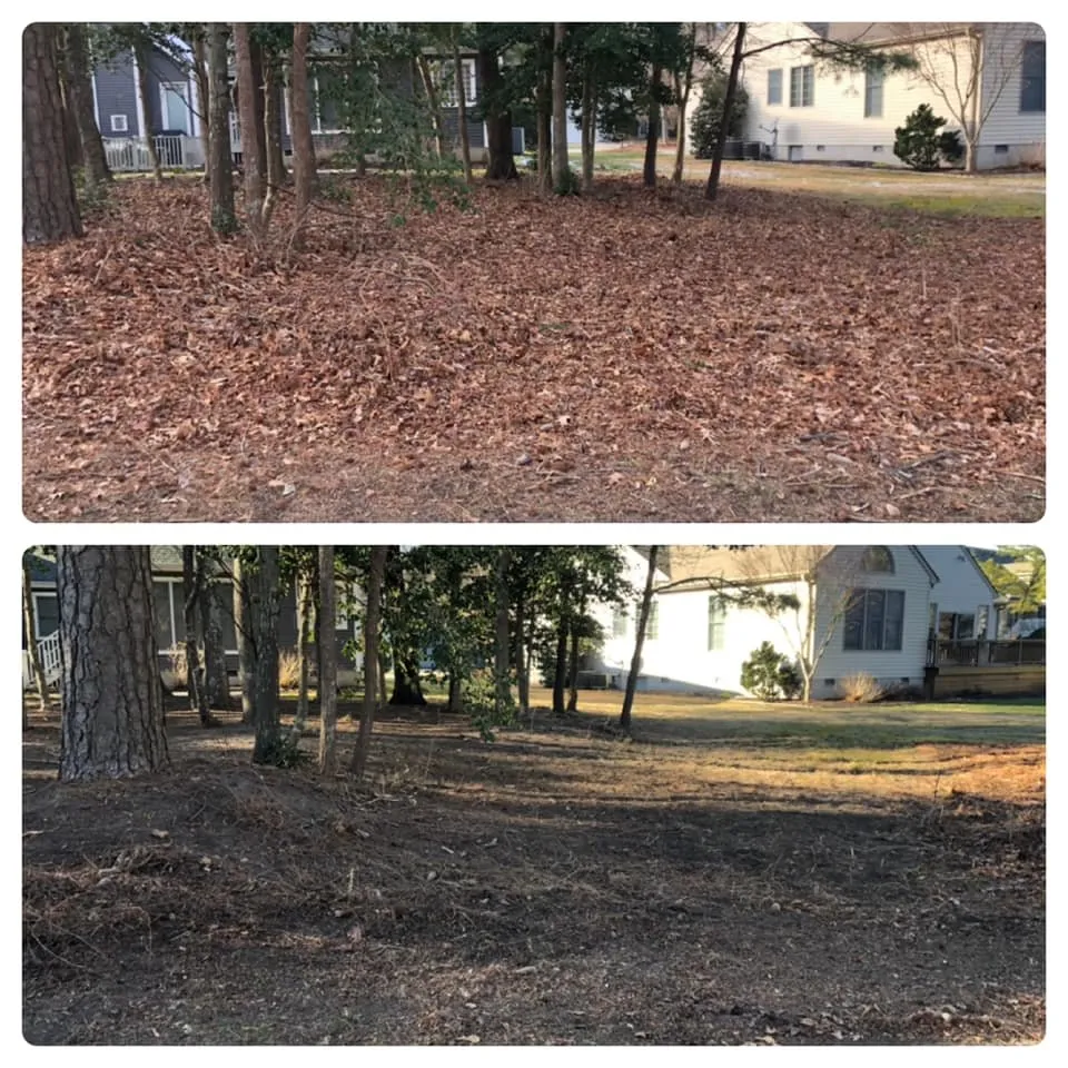 Affordable residential landscaping for outdoor upgrades across Ocean Pines, MD - Werner Lawn And Garden