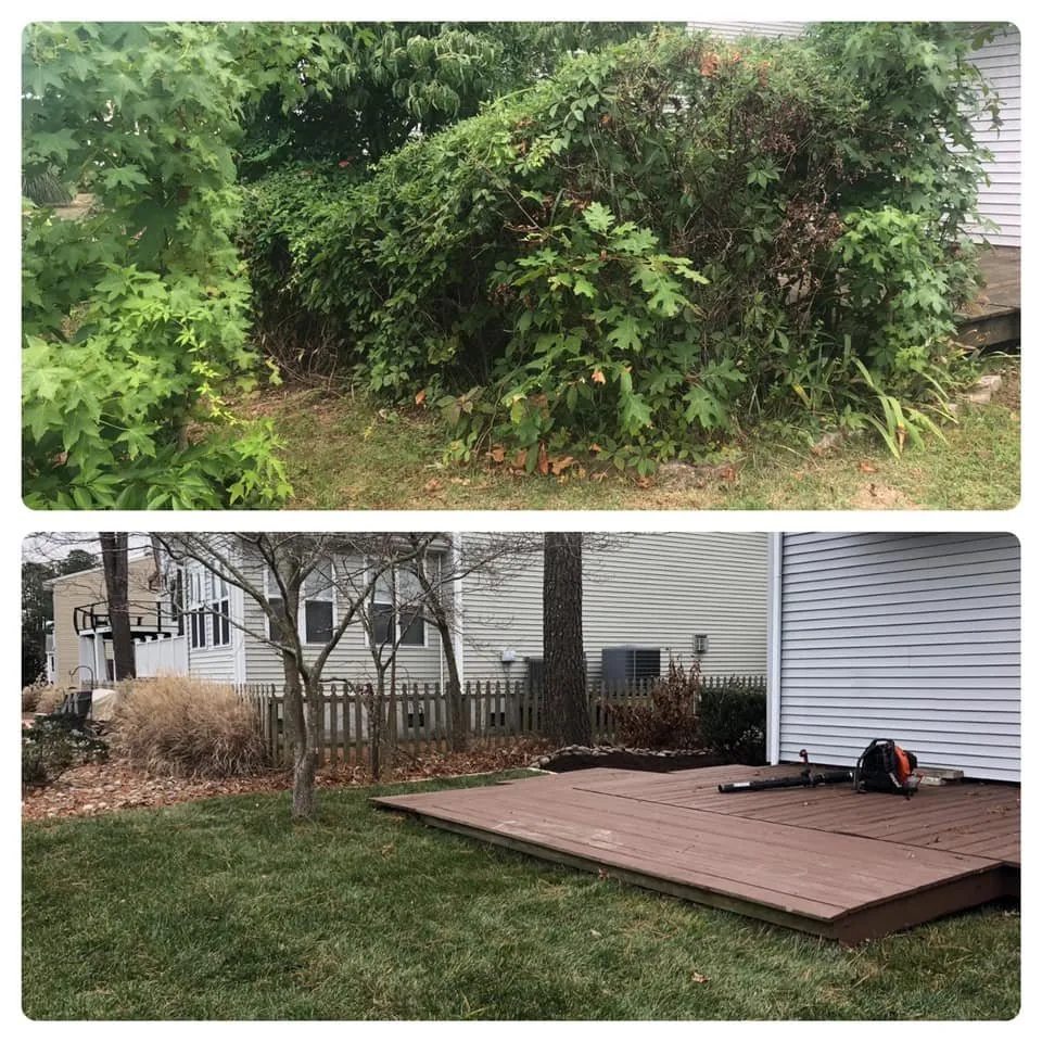 Custom outdoor landscaping for homes in Ocean Pines, MD by Werner Lawn And Garden