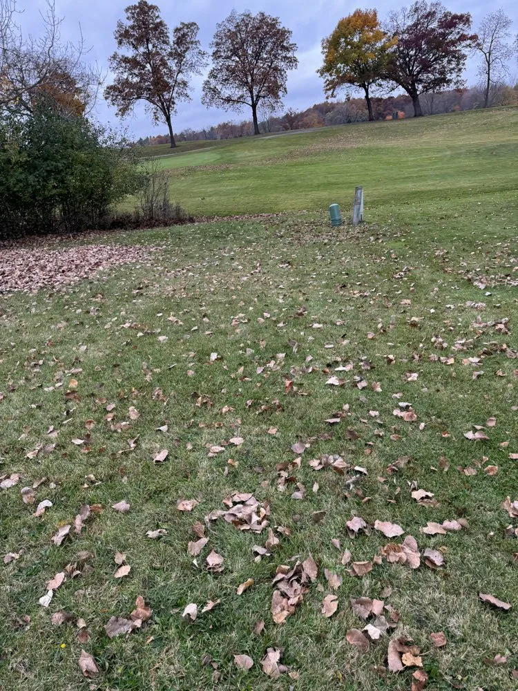 Expert landscaping services in Waterford Township, MI by Werner’s Landscaping & Snow Removal