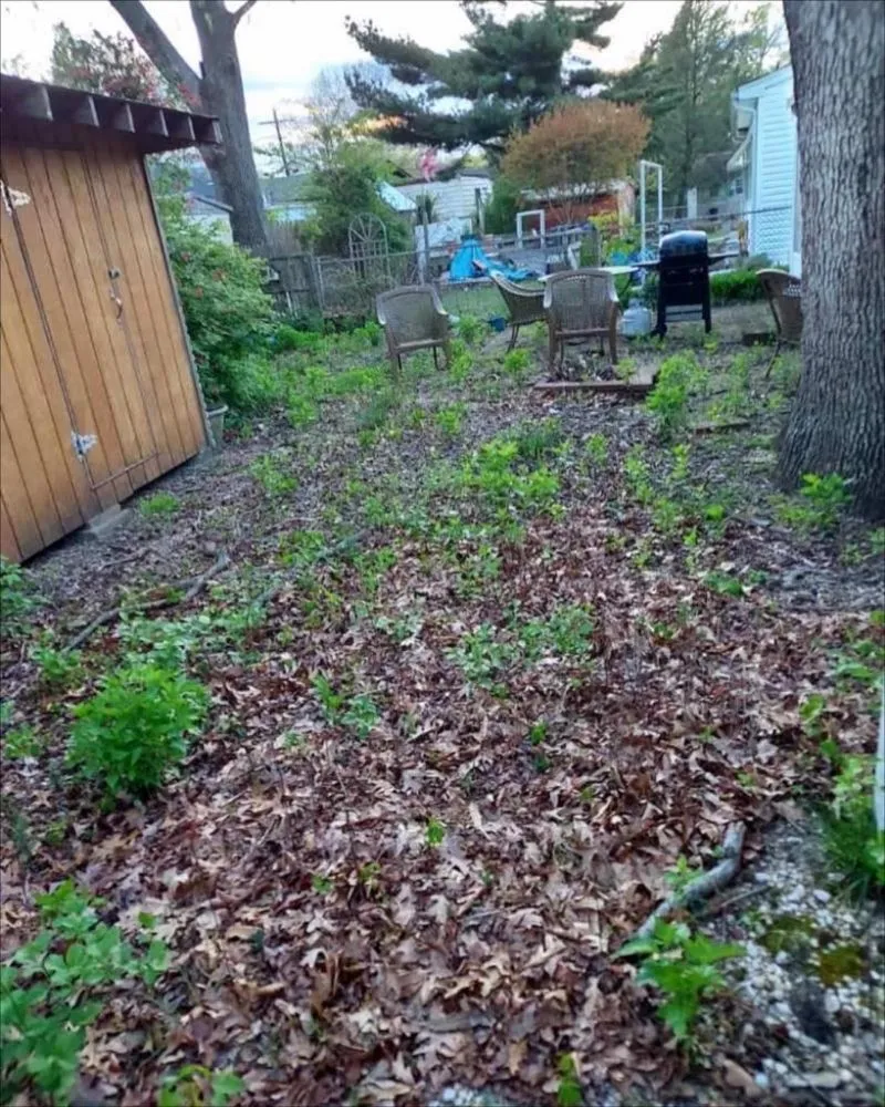 Reliable landscape installation experts serving Toms River, NJ - Wernoch Enterprises