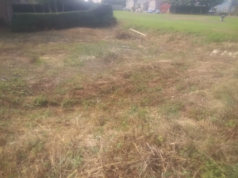 Top-rated landscape design in Arcata, CA by Wes Coast Landscaping