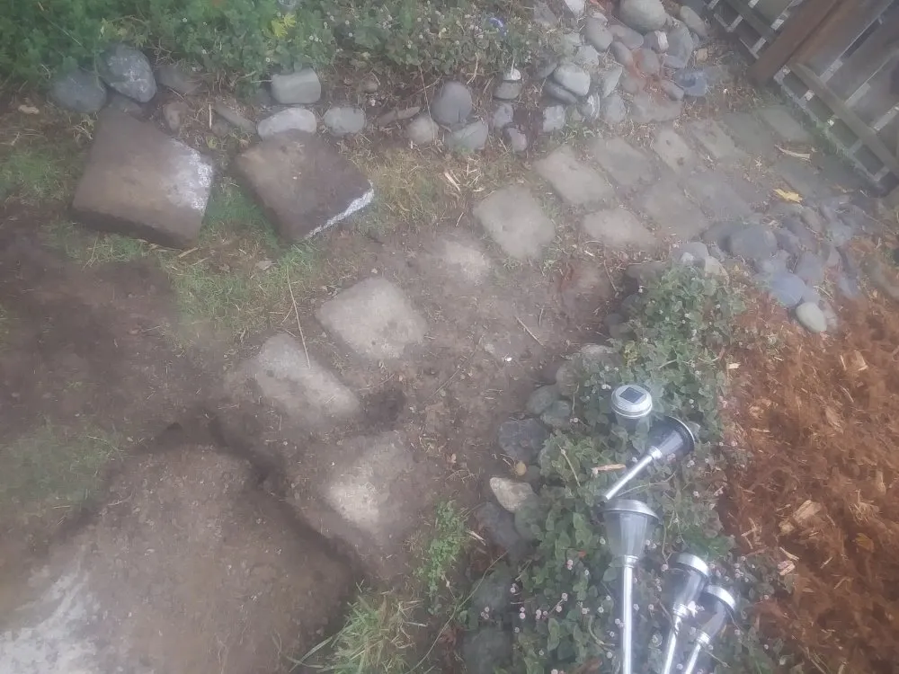 Trusted landscape design for residential properties across Arcata, CA - Wes Coast Landscaping