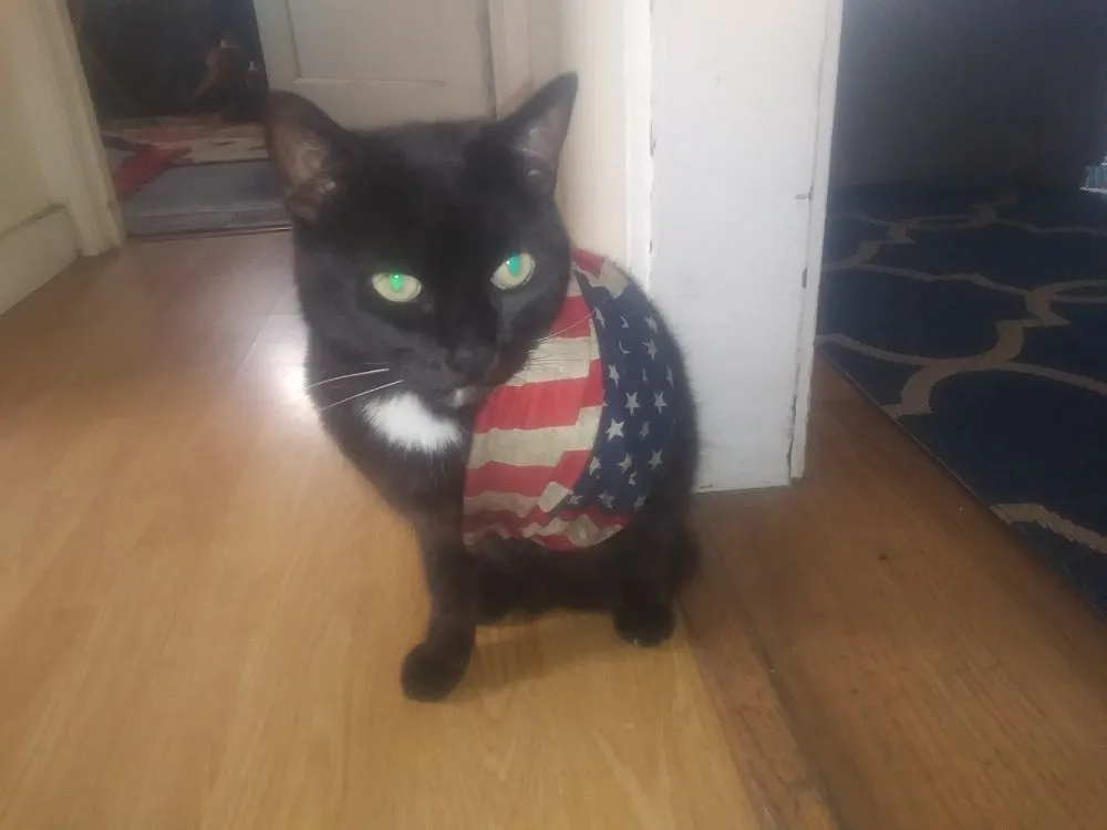 Affordable landscape design for beautiful yards in Arcata, CA by Wes Coast Landscaping