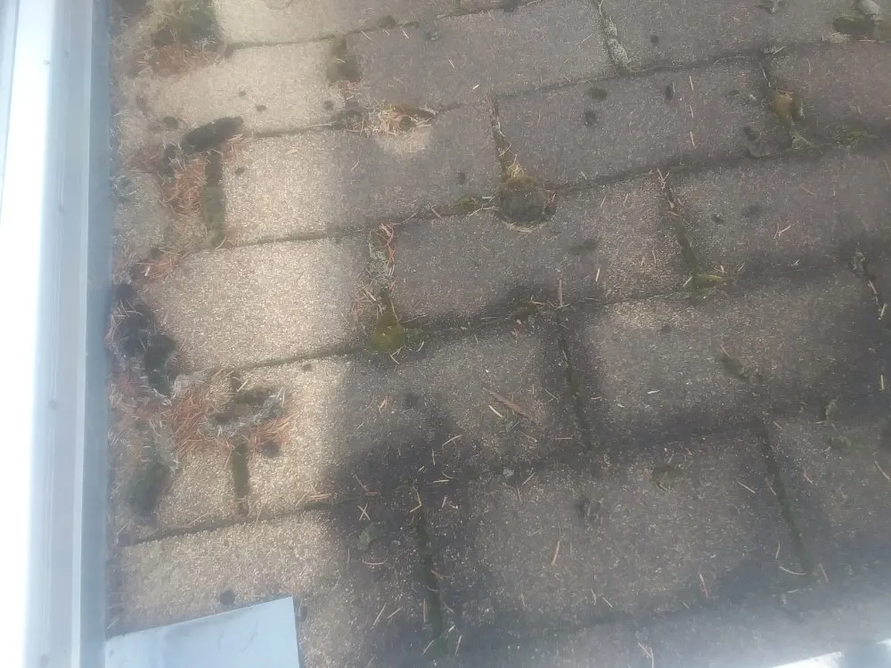 Local yard maintenance for year-round maintenance in Arcata, CA by Wes Coast Landscaping