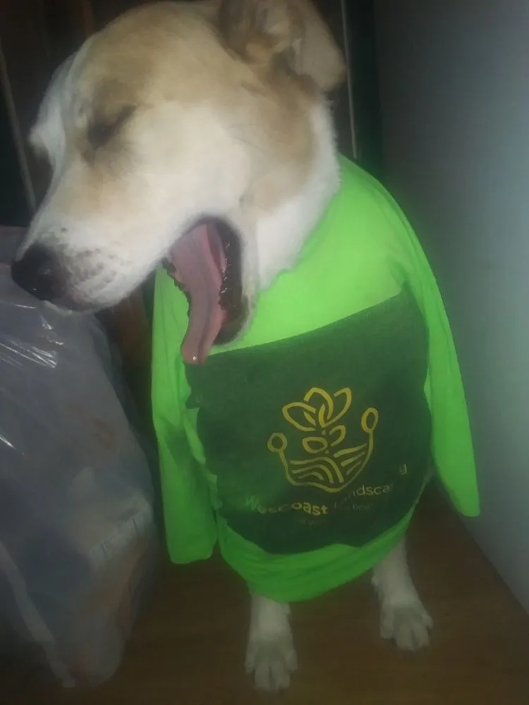 Reliable garden landscaping experts serving Arcata, CA - Wes Coast Landscaping