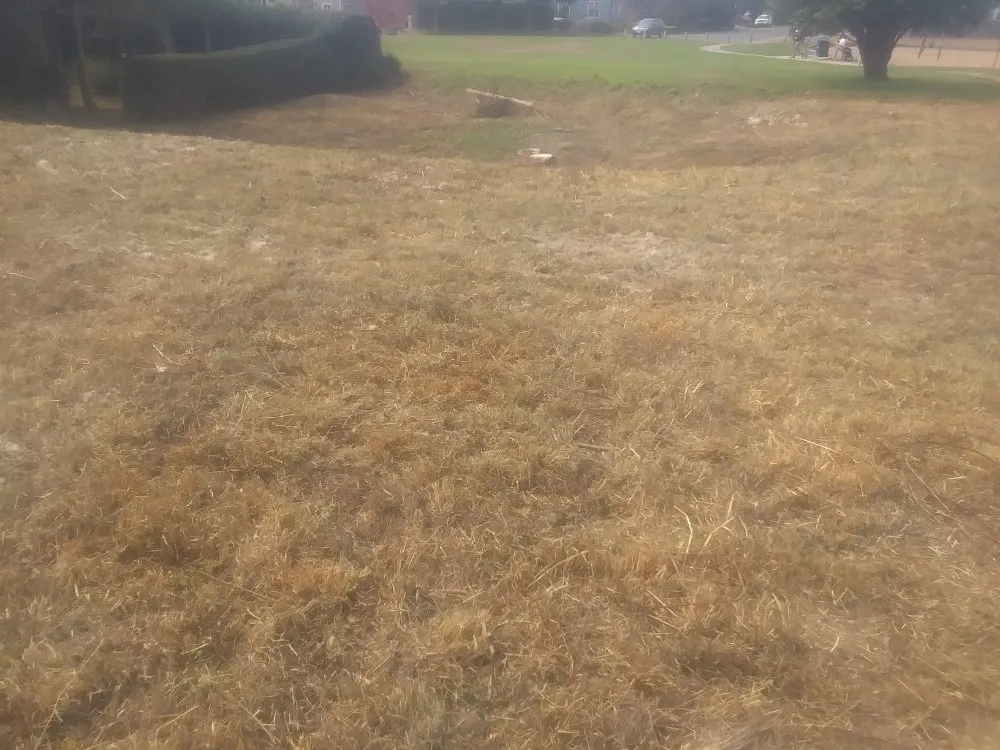 Professional landscape installation near you in Arcata, CA by Wes Coast Landscaping