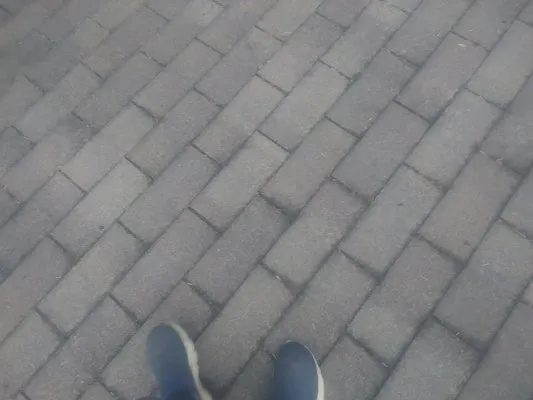 Wes Coast Landscaping