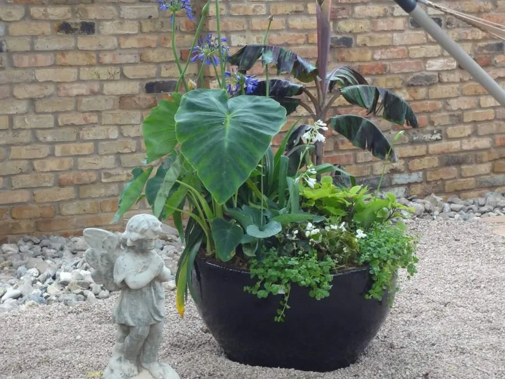 Reliable outdoor landscaping for outdoor upgrades across Levelland, TX - Wes' Landscape Care and Design